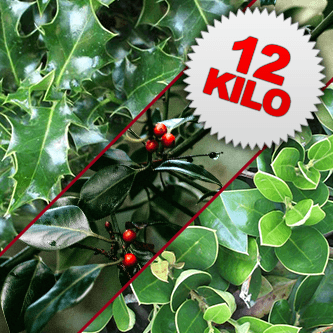 12 Kilos of Mixed Cut Holly