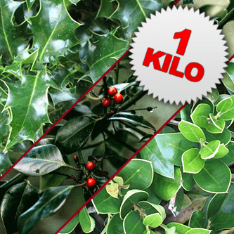 1 Kilo of Mixed Cut Holly