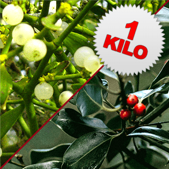 1 Kilo of Mistletoe & Holly