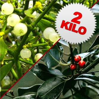 2 Kilos of Mistletoe & Holly